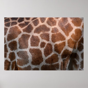 Affiche Texture de peau de girafe