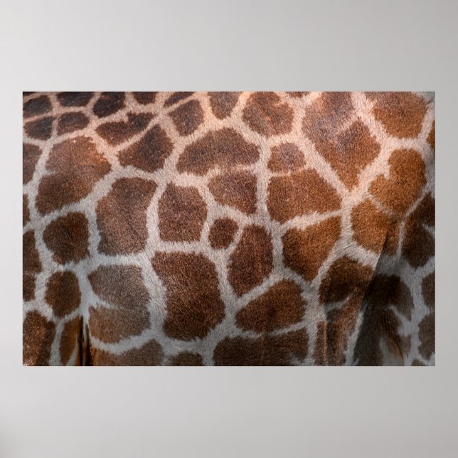 Affiche Texture de peau de girafe (Devant)