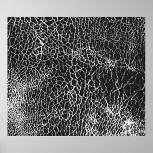 Affiche Texture de superposition désaffectée du crocodile 