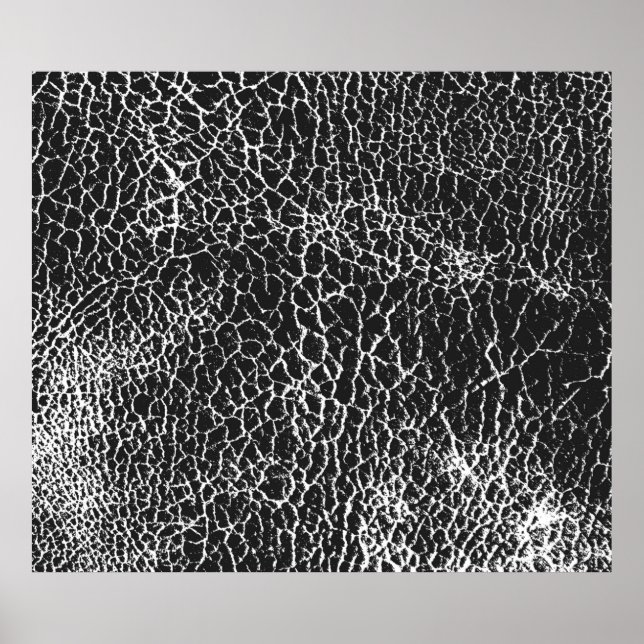 Affiche Texture de superposition désaffectée du crocodile  (Devant)