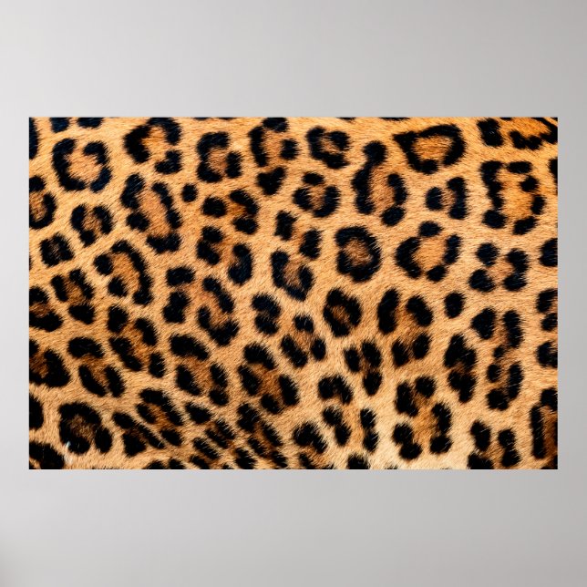 Affiche Texture d'impression de Cheetah (Devant)