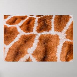 Affiche Texture d'impression de girafe