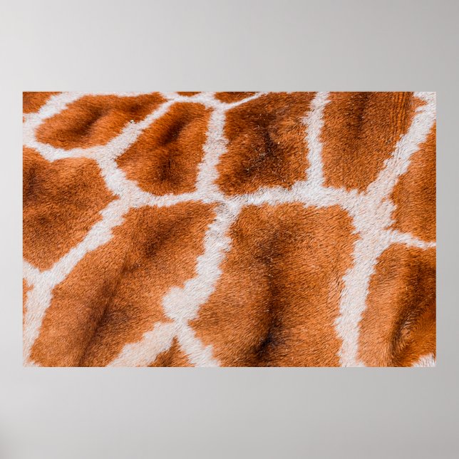 Affiche Texture d'impression de girafe (Devant)