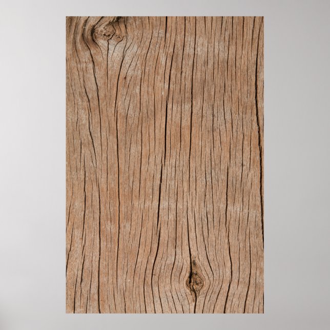 Affiche Texture du bois d'écorce utilisé comme fond de fon (Devant)