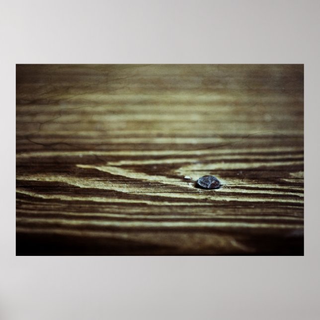 Affiche Texture du grain de bois par Shirley Taylor (Devant)