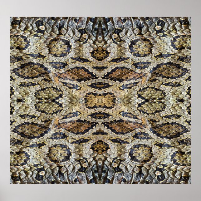 Affiche Texture Motif de la peau de serpent (Devant)