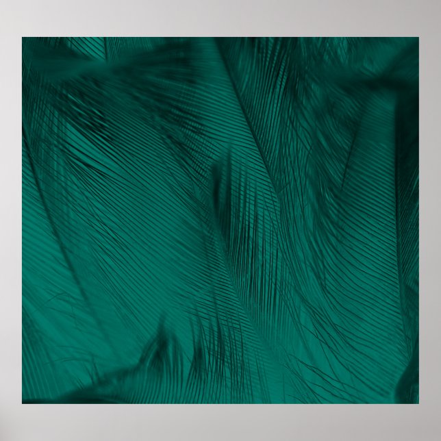 Affiche Texture Vintage de plumes vert foncé (Devant)