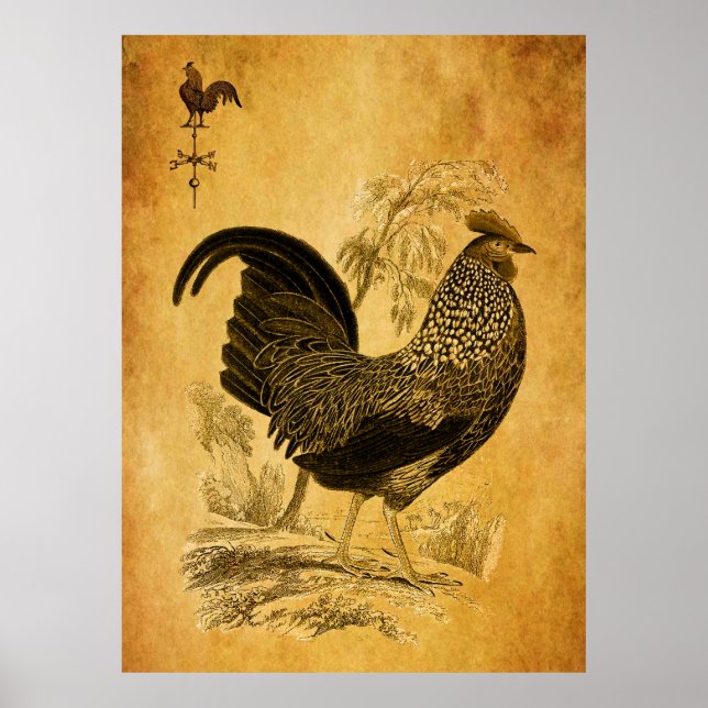 Affiche Thanksgiving Rooster (Devant)