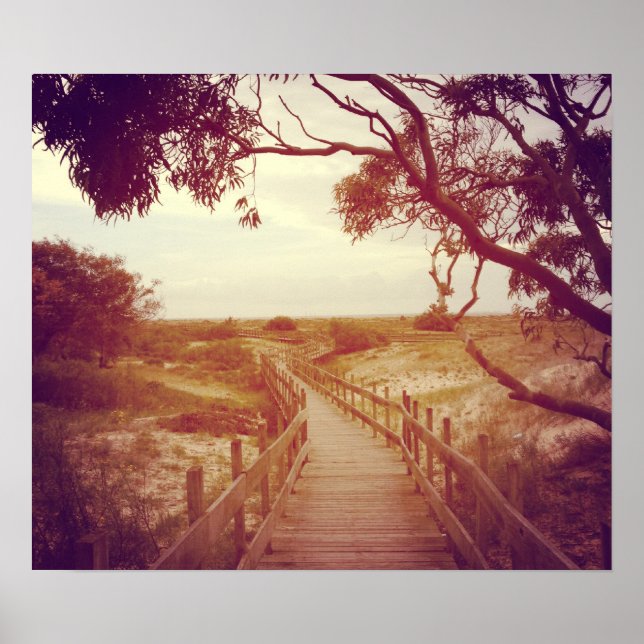 Affiche The (Devant)