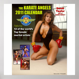 Affiche The_2011_Karate_Angels_Calendar