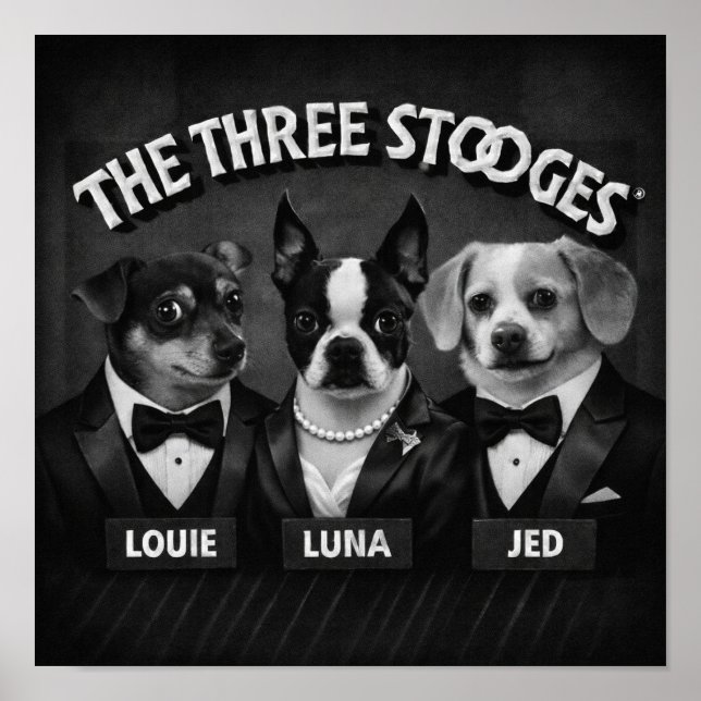 Affiche "The 2 Dooges" (Devant)