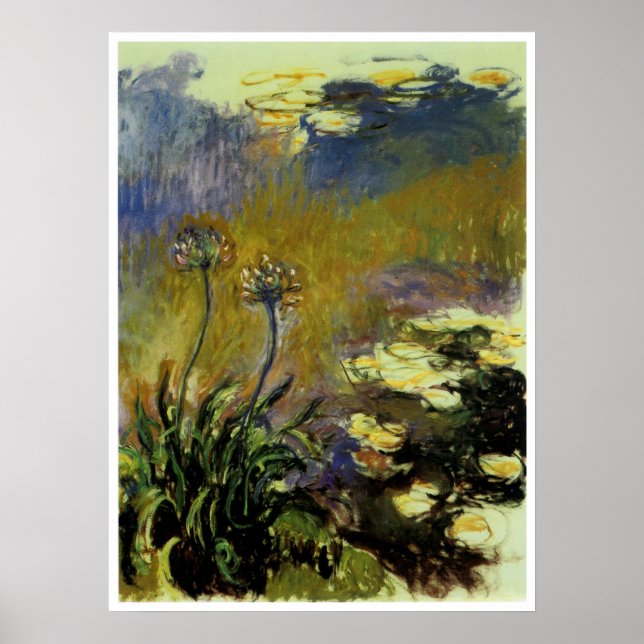 Affiche The Agapanthus (Devant)