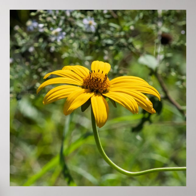 Affiche The Bend Floral (Devant)