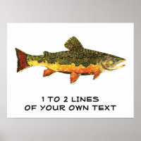 The Brook Trout