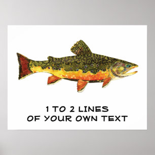 Affiche The Brook Trout