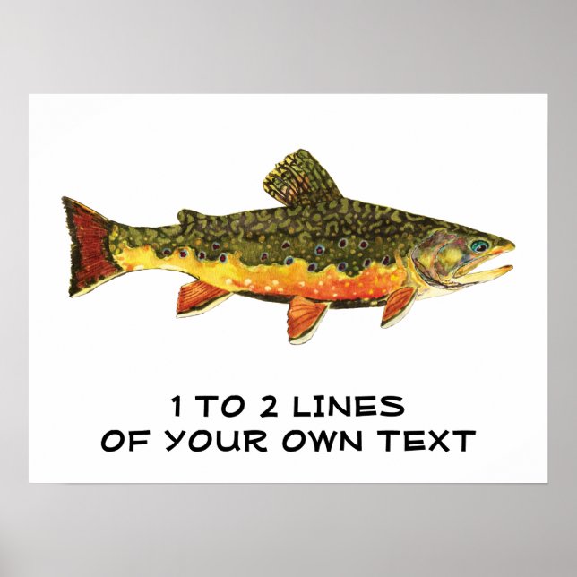 Affiche The Brook Trout (Devant)