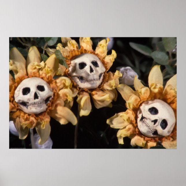 Affiche Thé de sang et Tournesol à cordes rouges (Devant)