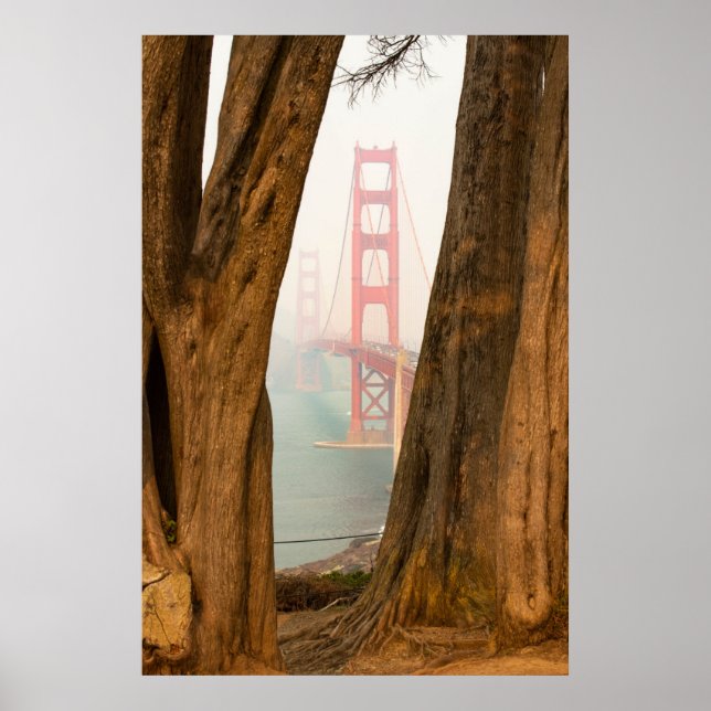 Affiche The Golden Gate Bridge | Trees from Overlook View (Devant)