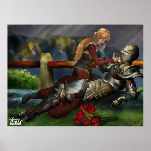 Affiche The Knight and The Princess (Devant)
