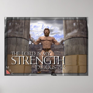 Affiche The Lord is My Strength