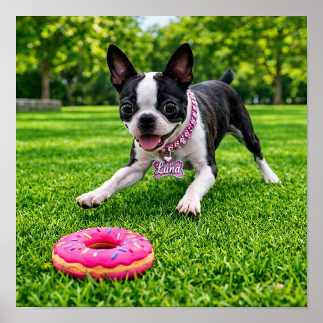 Affiche "The REAL Luna" (Devant)