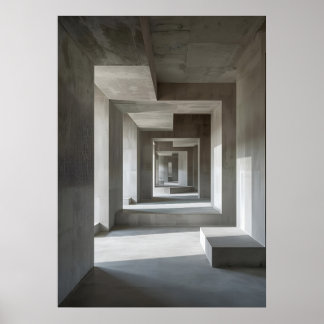 Affiche The Shape of Endless Frames × The Shape of Splinte