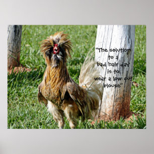 Affiche The Solution to a Bad Hair Day Humor