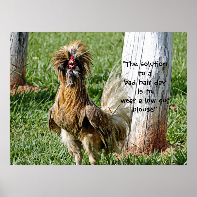 Affiche The Solution to a Bad Hair Day Humor (Devant)