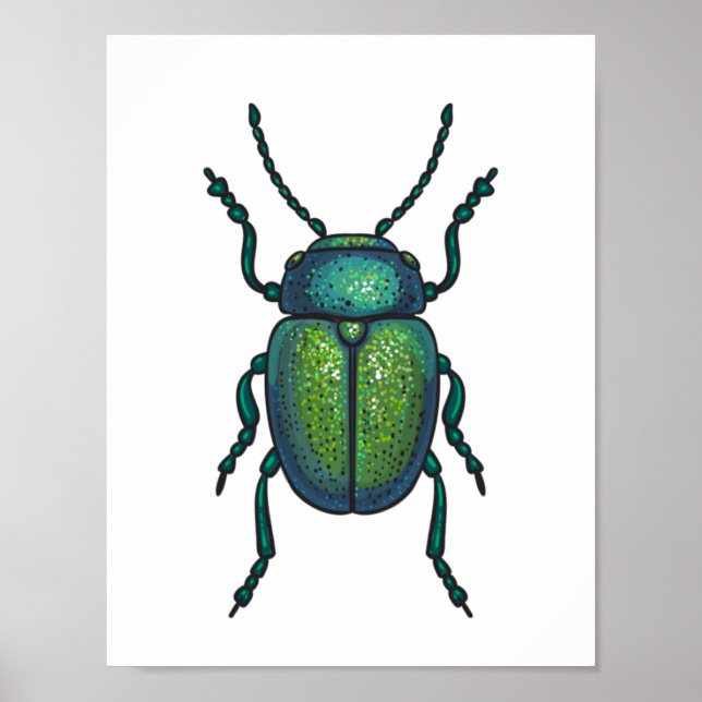 Affiche The tansy beetle (Devant)