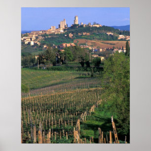 Affiche The village of San Gimignano sits in the rolling