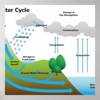 Affiche The Water Cycle