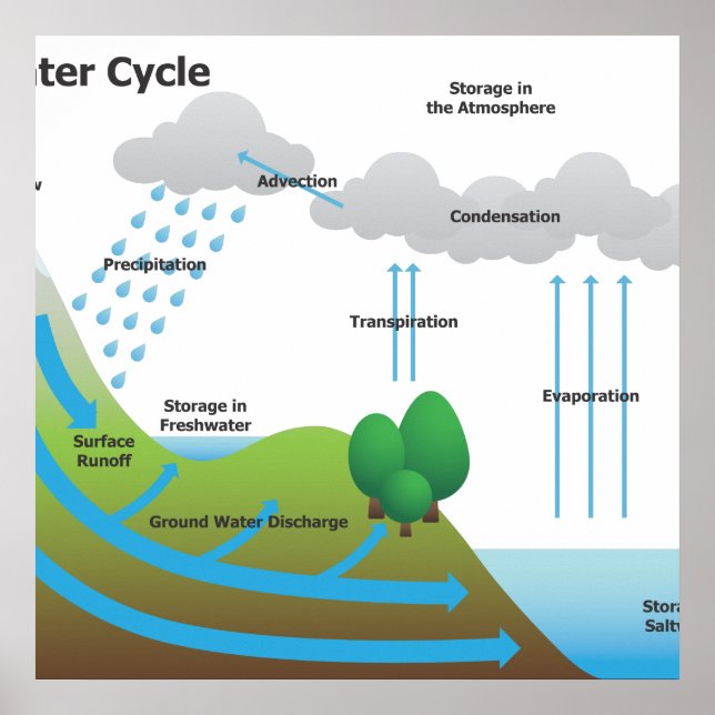 Affiche The Water Cycle (Devant)