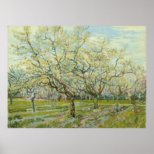 Affiche The white orchard by Vincent Van Gogh (Devant)
