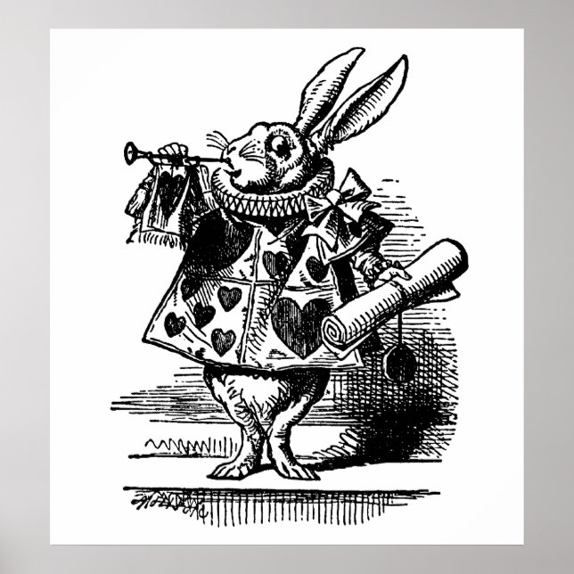 Affiche The White Rabbit (Devant)