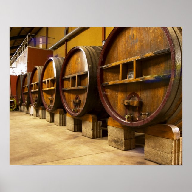 Affiche The wine cellar winery with big old wooden casks (Devant)