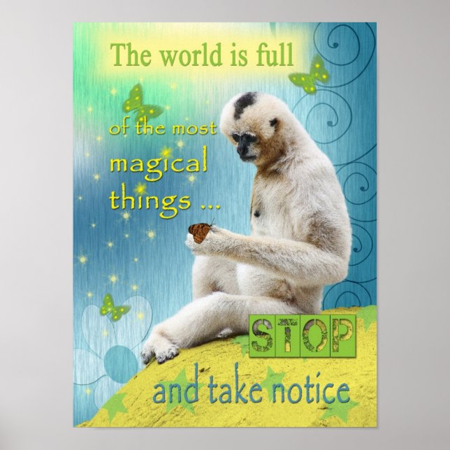 Affiche The World is Full of Magic (Devant)