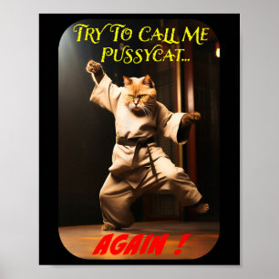 Affiche Thème Karate humoristique