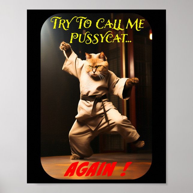 Affiche Thème Karate humoristique (Devant)