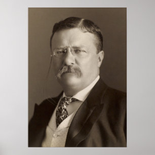 Affiche Theodore Roosevelt, 26e président des États-Unis