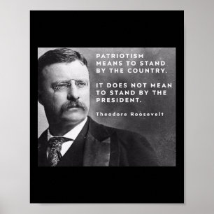 Affiche Théodore Roosevelt Pro-démocratie Anti-trump Patri