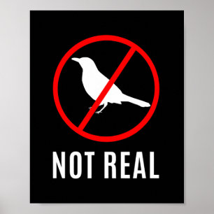 Affiche Théorie Drôle De Conspiration Les Oiseaux Sont Un