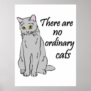 Affiche There Are No Ordinary Cats