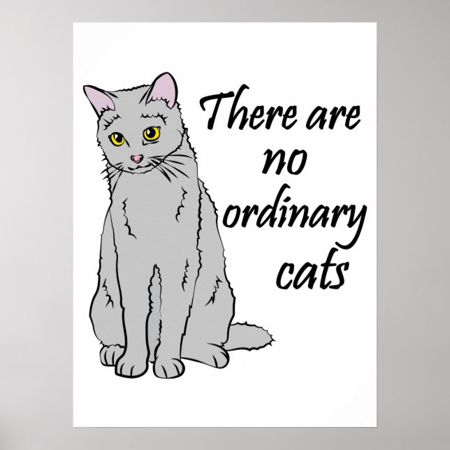 Affiche There Are No Ordinary Cats (Devant)