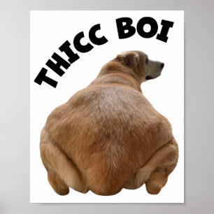 Affiche Thicc Boi Gras et amusant Yellow Labrador Retrieve