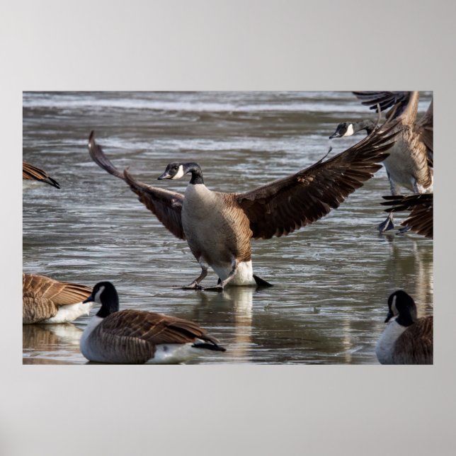 Affiche Thin Ice (Devant)