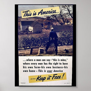 Affiche This Is America Keep It Free!
