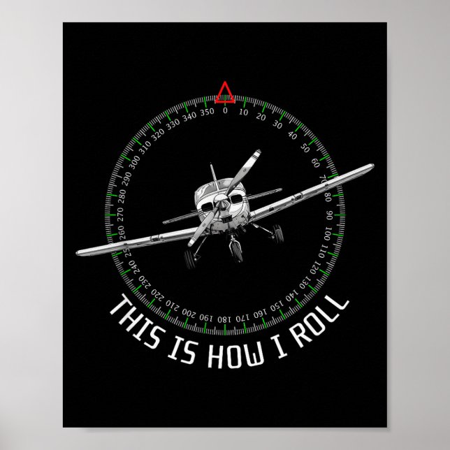 Affiche This Is How I Roll Funny Lot Aviation Airplane  (Devant)