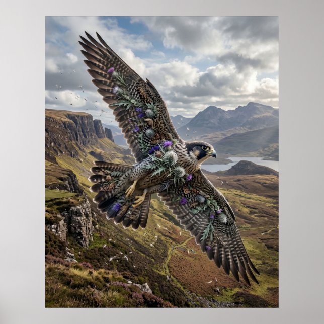 Affiche Thistle Falcon Highland Sky (Devant)