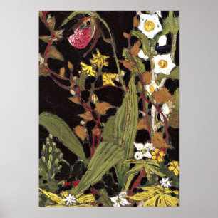 Affiche Thomson - Orchidées, Parc Algonquin