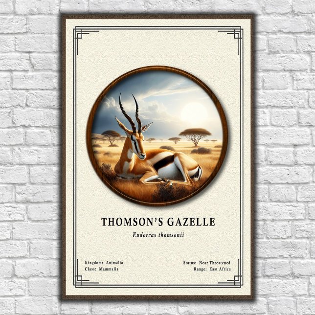 Affiche Thomson's Gazelle Zoology Series (Créateur téléchargé)